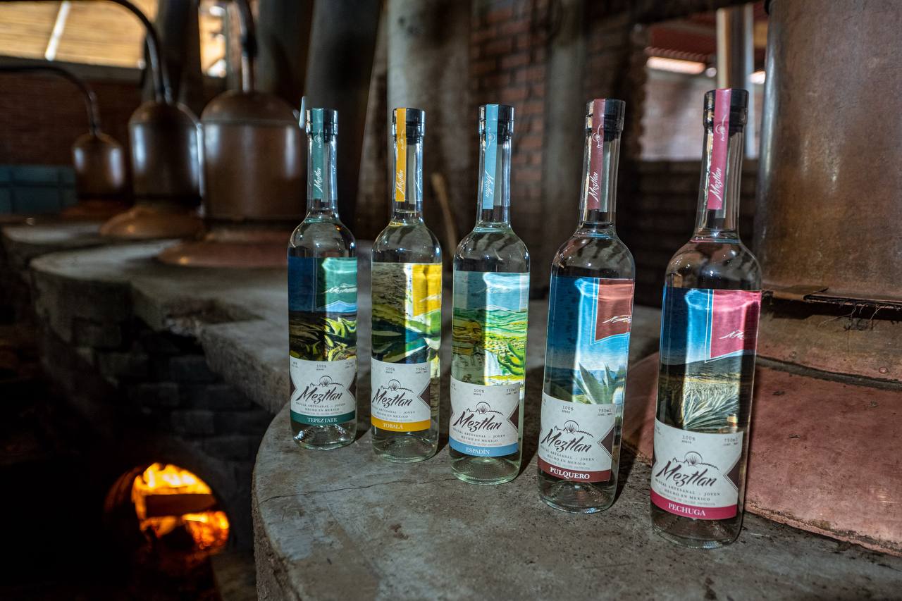 Línea de mezcales Meztlán